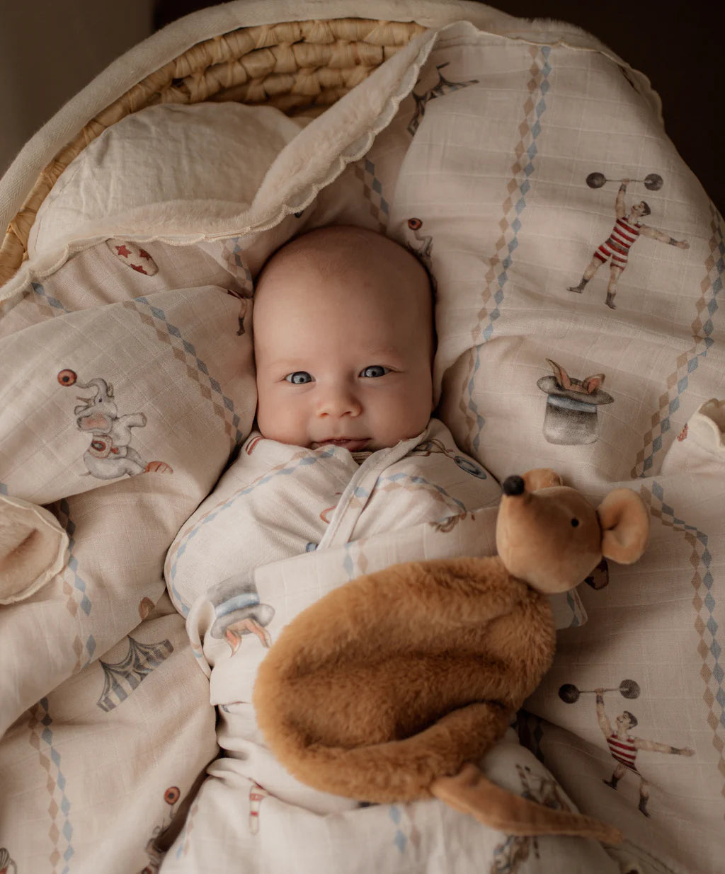 Le Cirque Swaddle