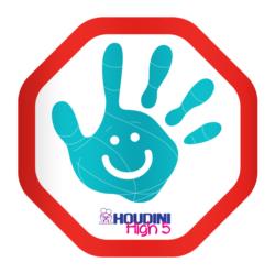 Houdini High 5 Sticker Twin Pack - Aqua