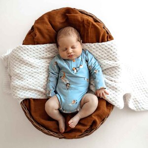 Dream Long Sleeve Organic Bodysuit
