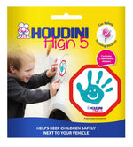 Houdini High 5 Sticker Twin Pack - Aqua
