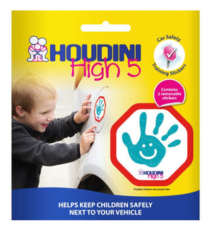 Houdini High 5 Sticker Twin Pack - Aqua