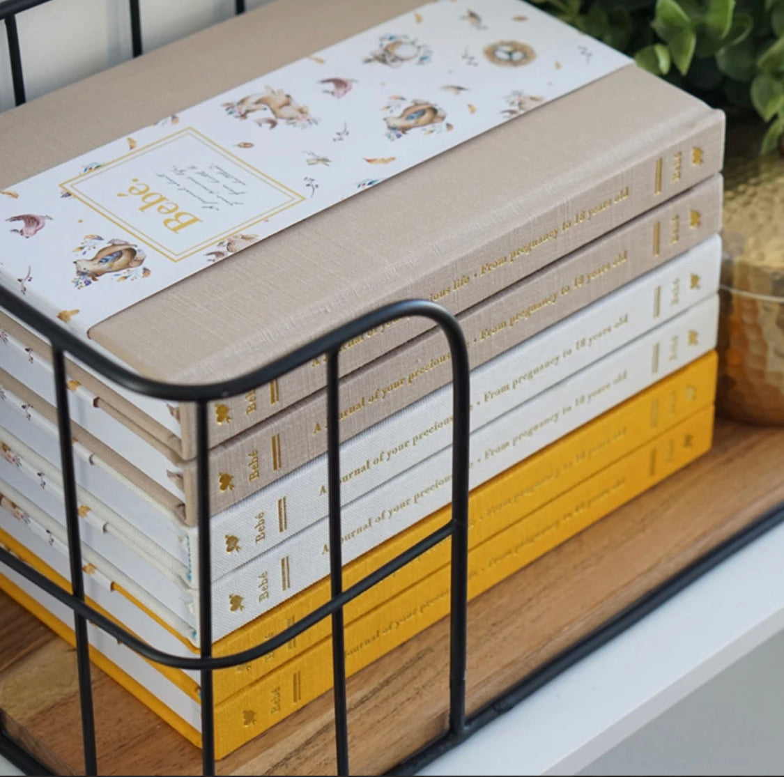 Bebé Baby Book with Keepsake Box - Truly Amor