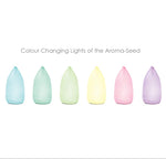 AROMA-SEED DIFFUSER