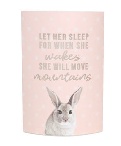 Pink Lantern ‘Let her sleep, for when...’