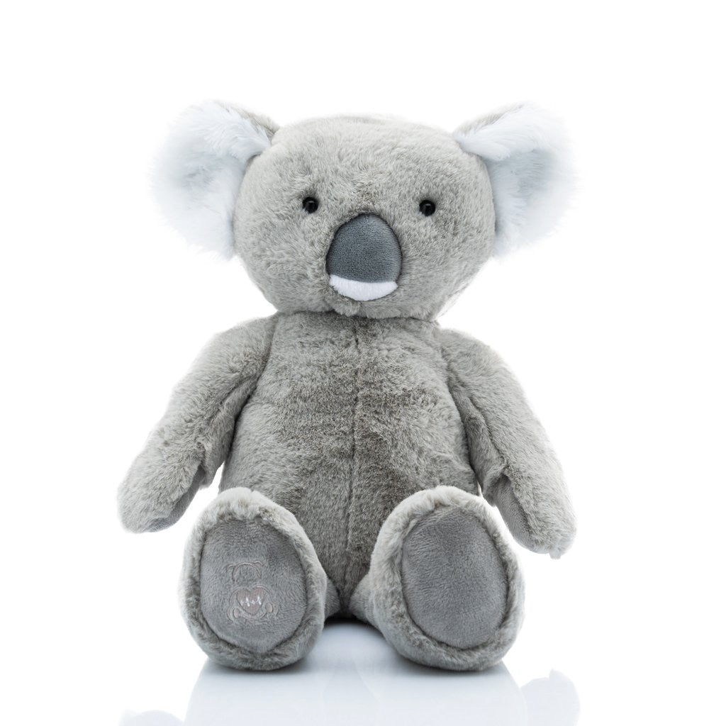 Tyalla the Heartbeat Koala