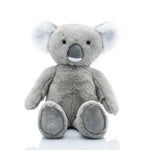 Tyalla the Heartbeat Koala