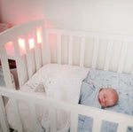 AROMA-SNOOZE SLEEP AID VAPORISER + ORGANIC Oil