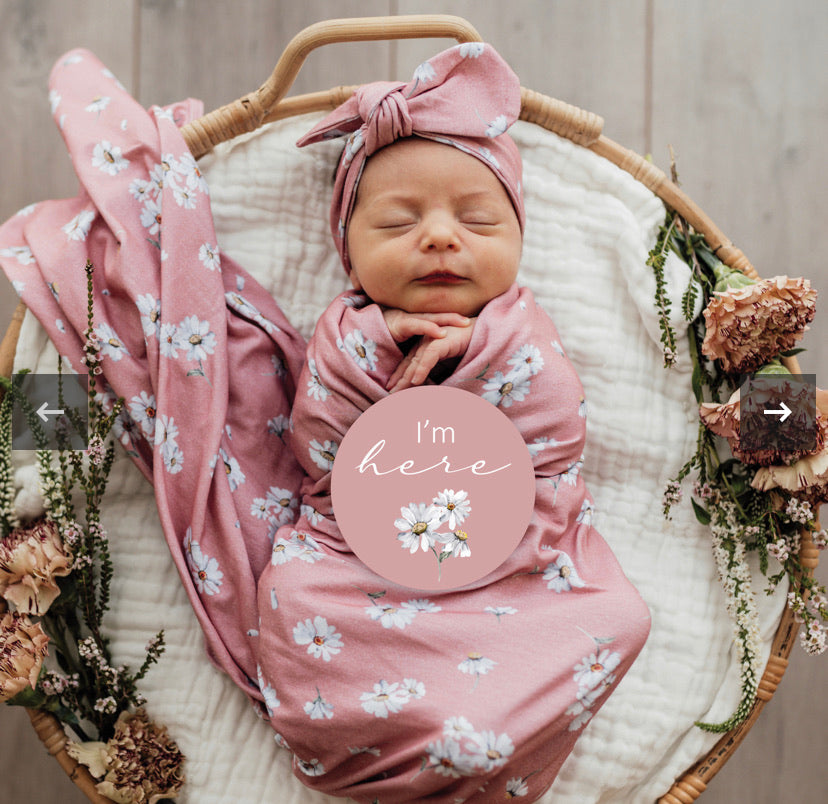 Daisy & Musk Pink Milestone Cards