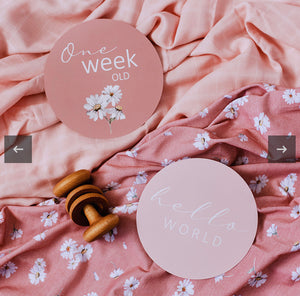 Daisy & Musk Pink Milestone Cards