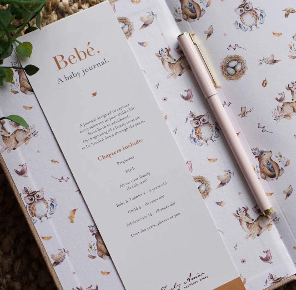Bebé Baby Book with Keepsake Box - Truly Amor