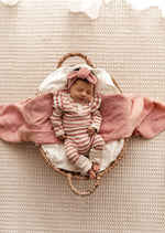 Rose Stripe Growsuit
