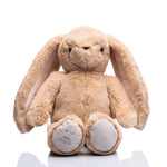 Clover the Heartbeat Bunny Rabbit