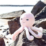 Octopus | Cove Octopus | Assorted Colours