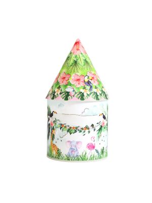 Sarfari Light Up House